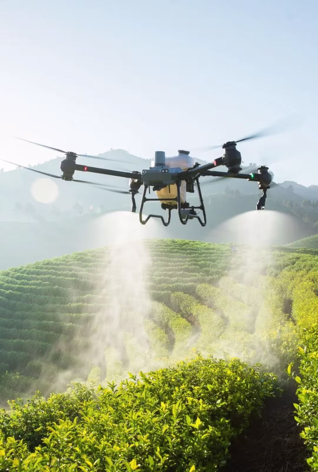 Drone Field